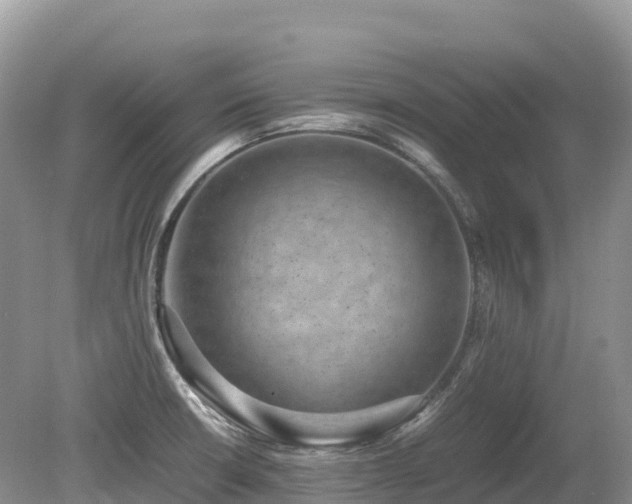 X0000080141426200612081244