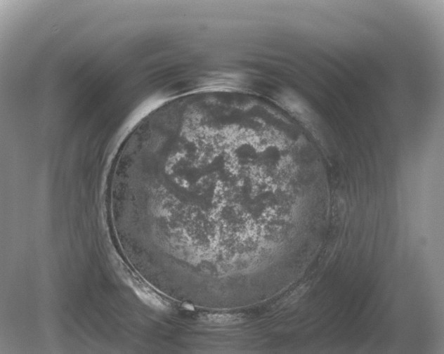 X0000080141427200612081244