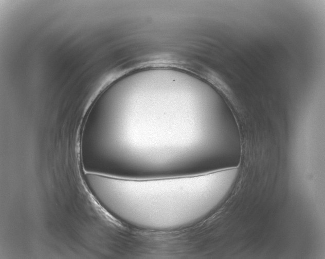 X0000080141428200612081244