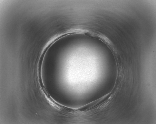 X0000080141430200612081244