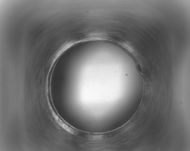 X0000080141431200612081244