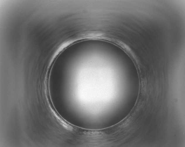 X0000080141432200612081244