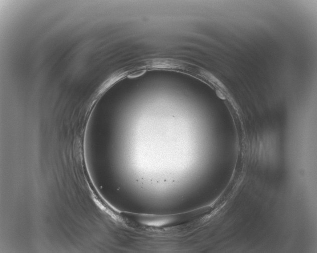 X0000080141433200612081244