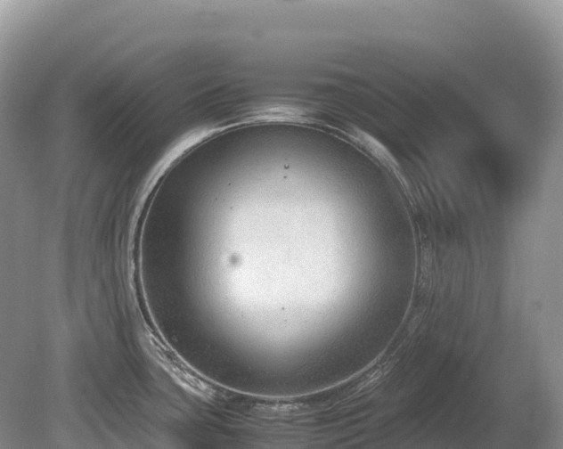 X0000080141435200612081244