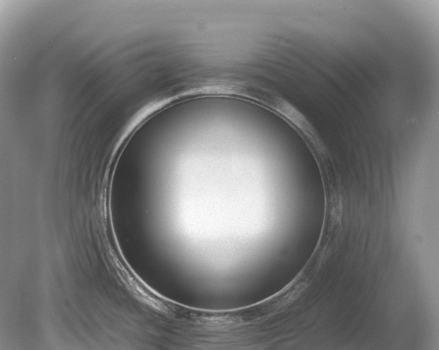 X0000080141436200612081244