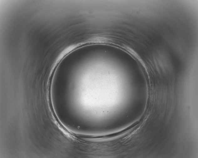 X0000080141437200612081244