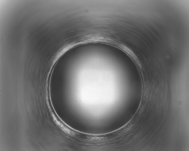 X0000080141439200612081244