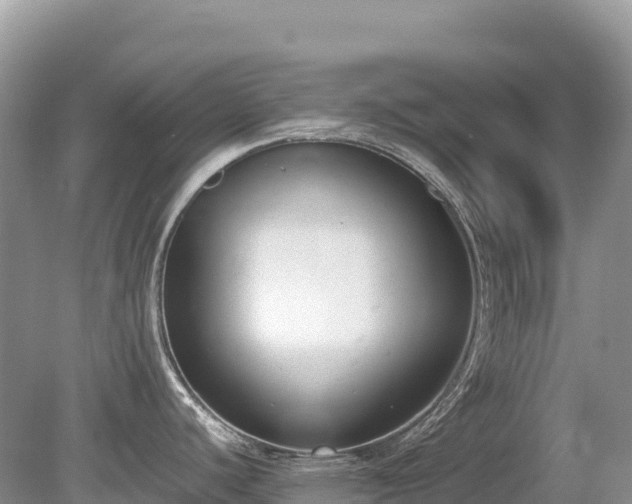 X0000080141440200612081244