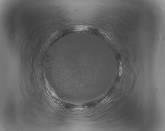 X0000080141441200612081244