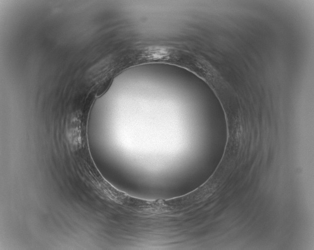 X0000080141442200612081244