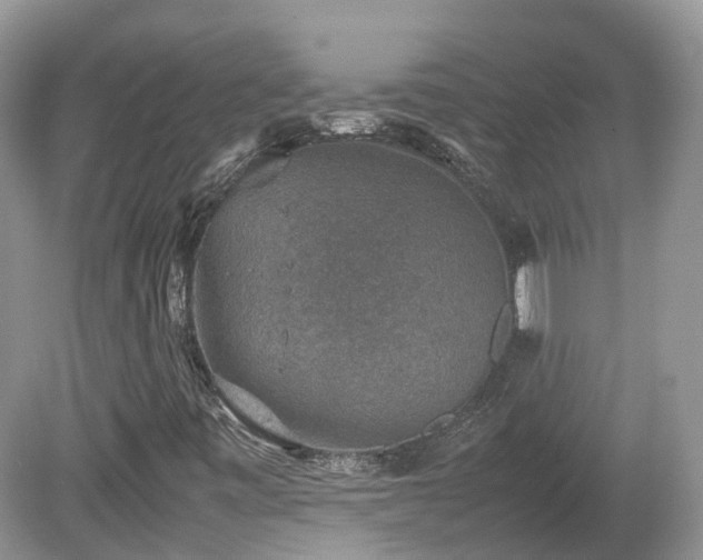 X0000080141443200612081244