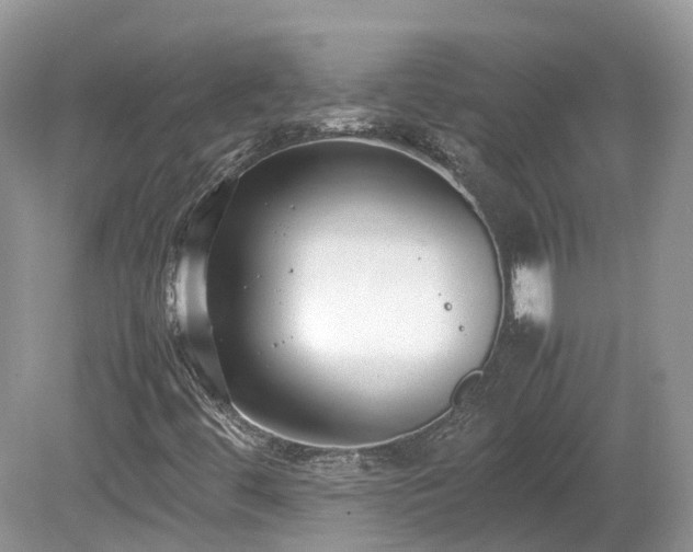 X0000080141444200612081244