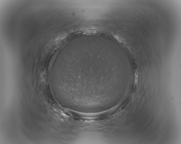 X0000080141445200612081244