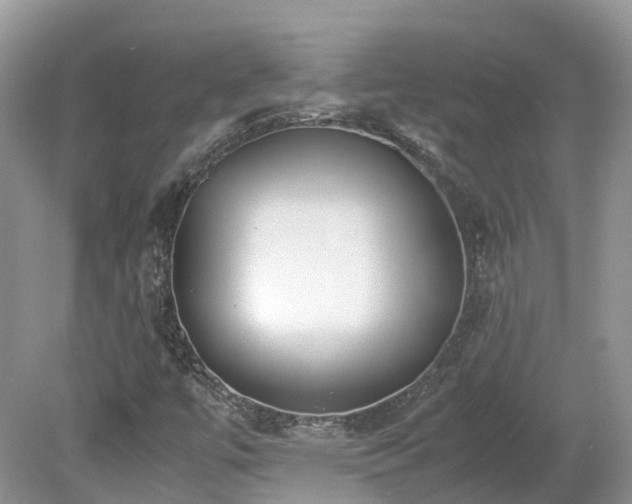 X0000080141447200612081243