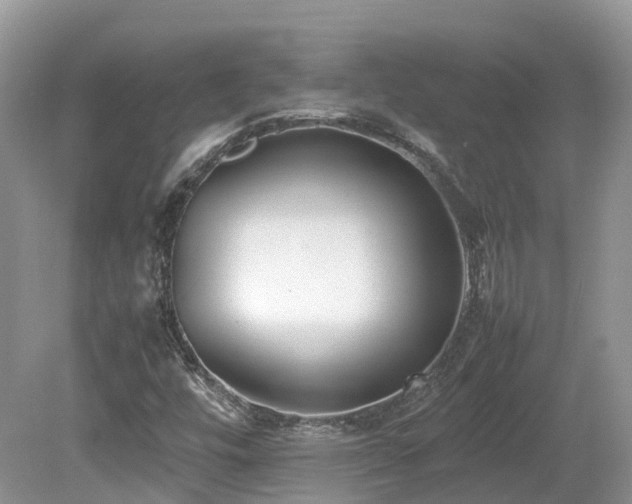 X0000080141448200612081243