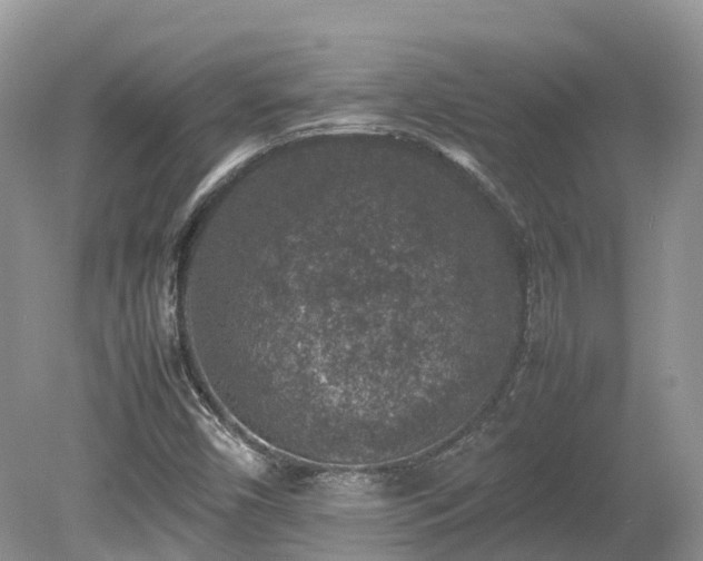 X0000080141450200612081243