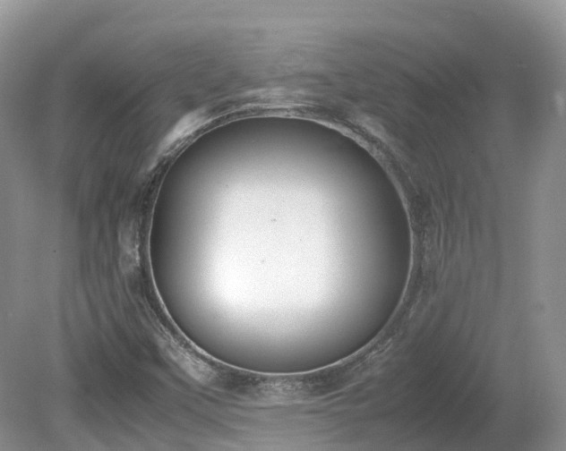 X0000080141451200612081243
