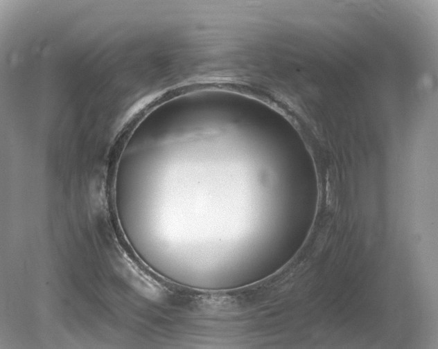 X0000080141452200612081243