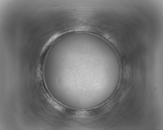 X0000080141454200612081243