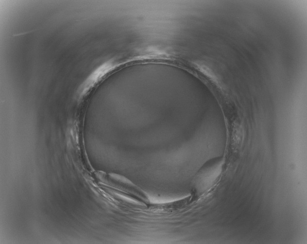 X0000080141455200612081243