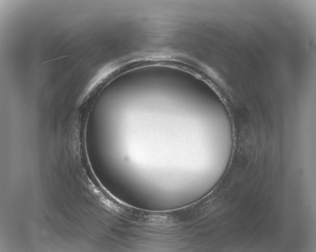 X0000080141456200612081243