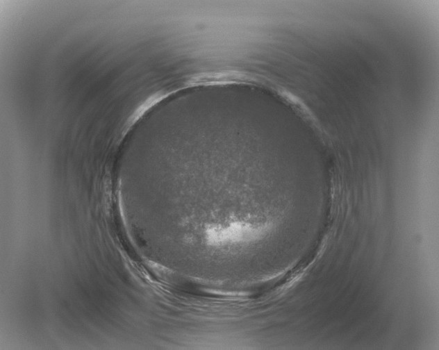 X0000080141457200612081243