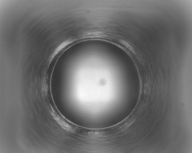 X0000080141458200612081243