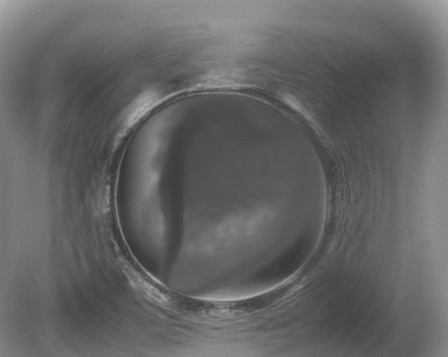 X0000080141459200612081243