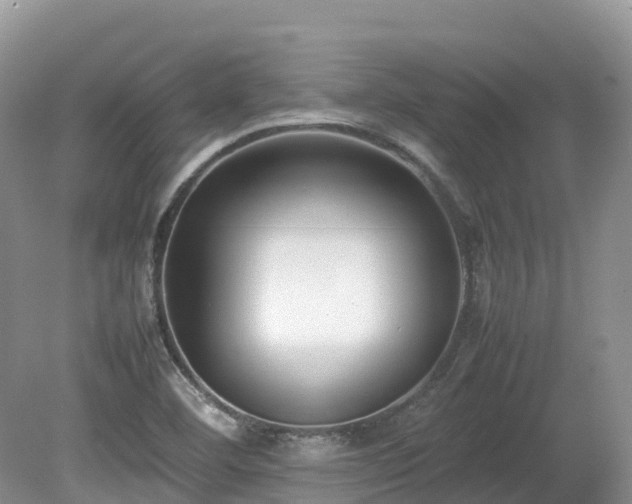 X0000080141460200612081243