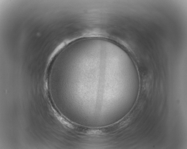X0000080141462200612081243