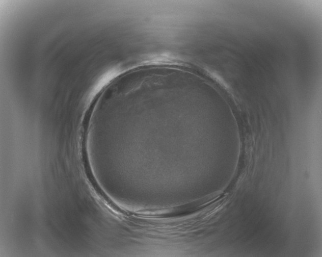 X0000080141463200612081243