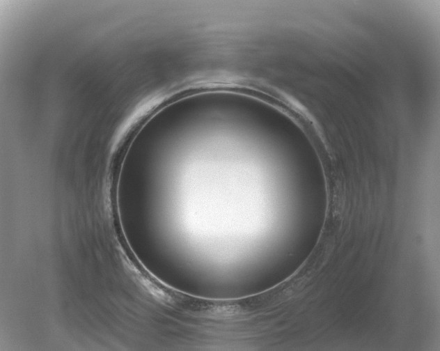 X0000080141464200612081243