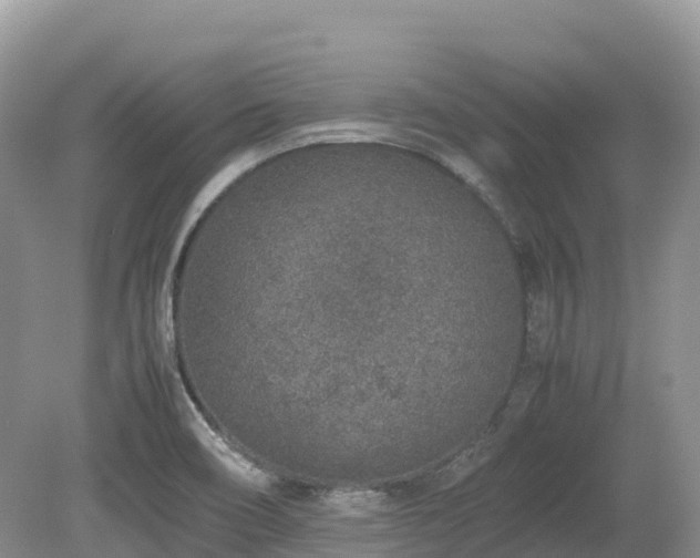 X0000080141466200612081243