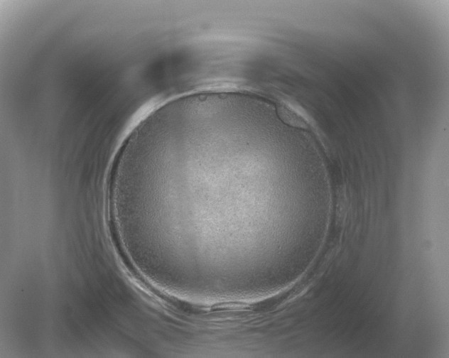 X0000080141467200612081243