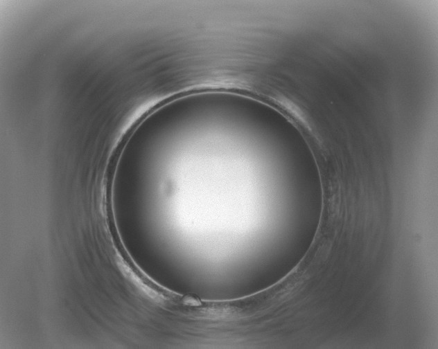 X0000080141468200612081243