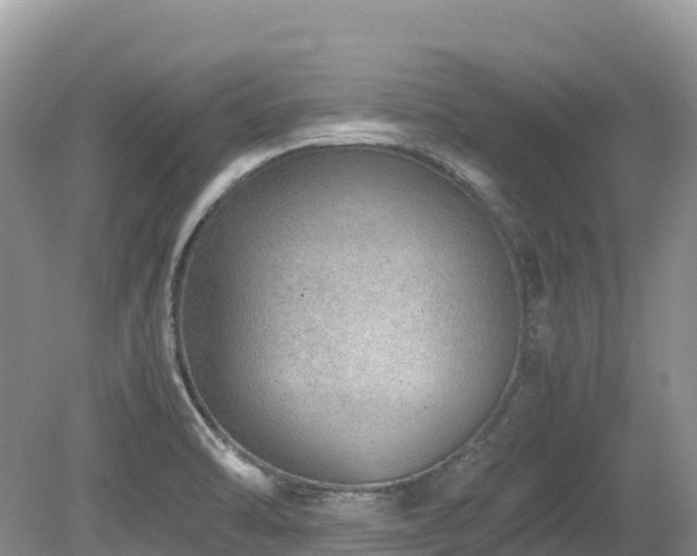 X0000080141470200612081243
