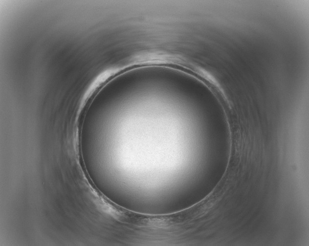 X0000080141472200612081243