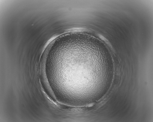 X0000080141473200612081243
