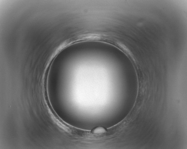 X0000080141475200612081243