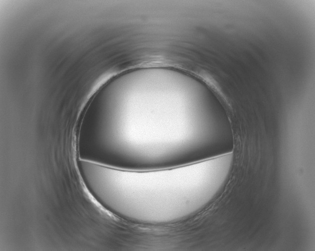 X0000080141476200612081243