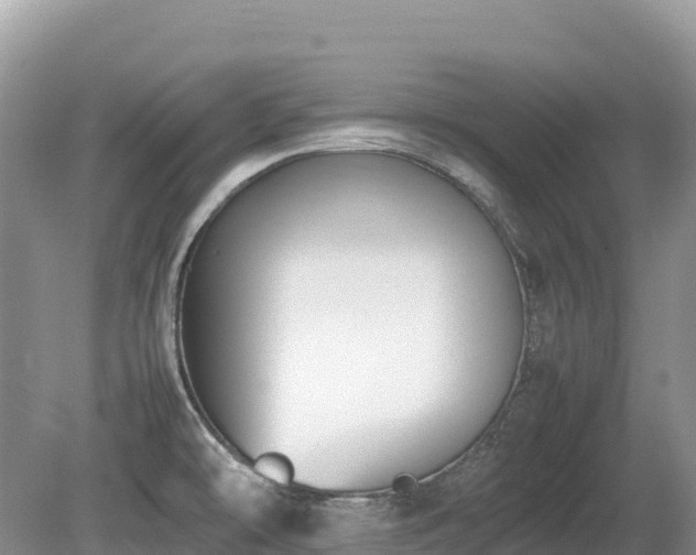 X0000080141478200612081243