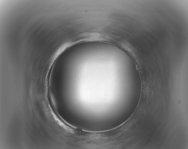X0000080141479200612081243
