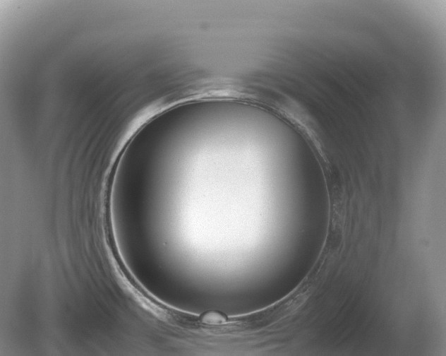 X0000080141483200612081243