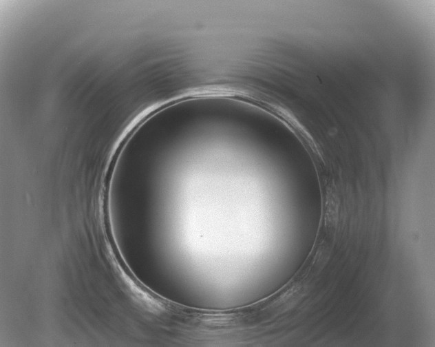 X0000080141484200612081243