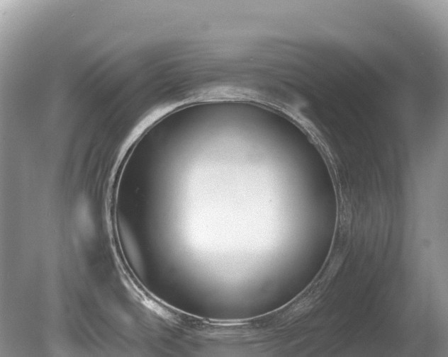 X0000080141486200612081243