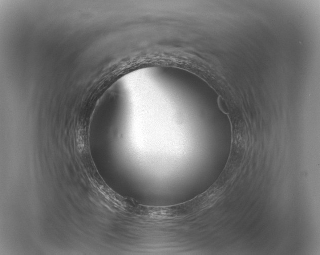 X0000080141490200612081242