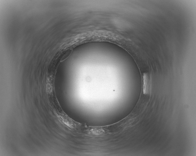 X0000080141491200612081242