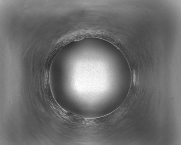 X0000080141492200612081242