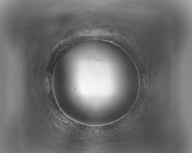 X0000080141493200612081242