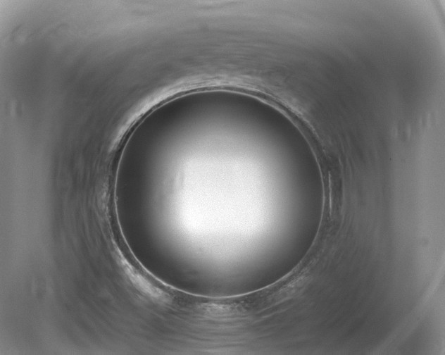 X0000080141500200612081242